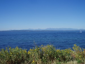 View from Golden Gardens