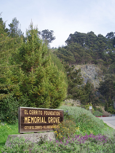 Hillside Natural Area