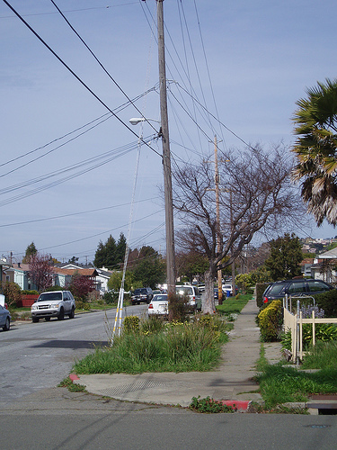 the hood