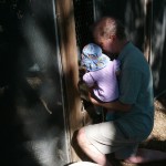 visiting the chickens with Grandpa Lawyer