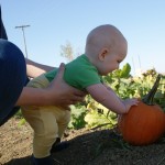 Telia picks a pumpkin